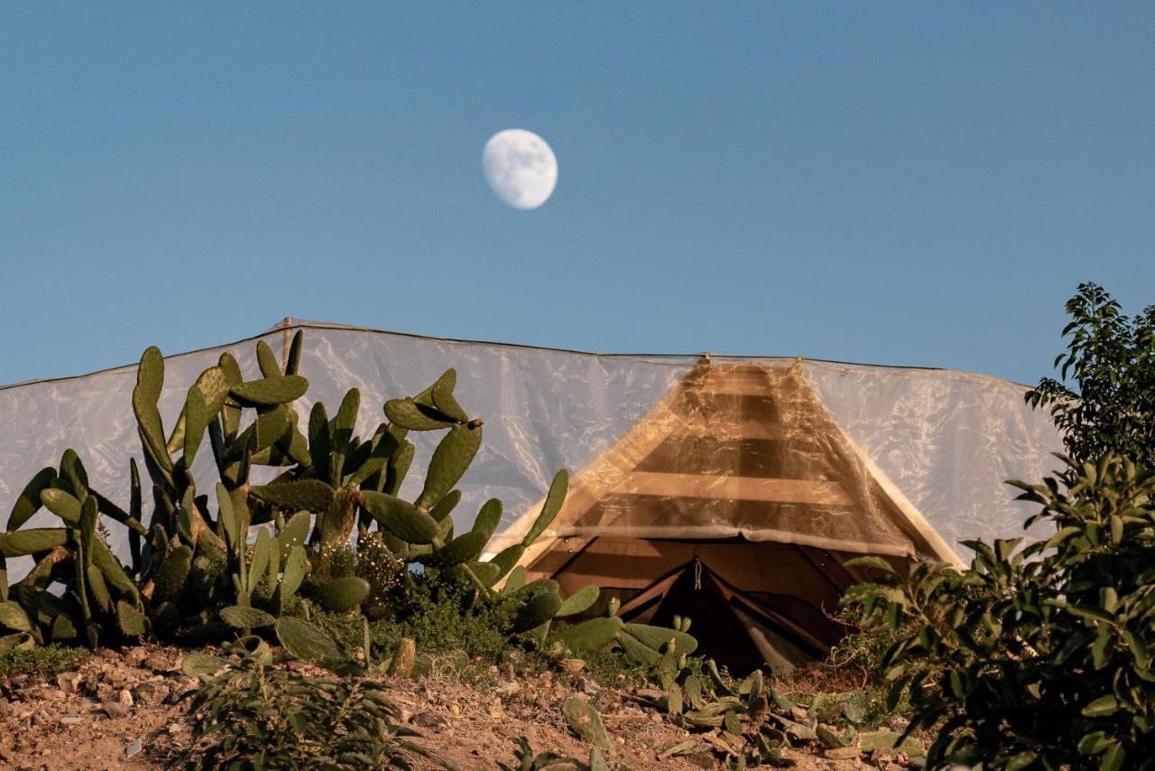 Finca Gaia La Segunda Guia de Isora  Ngoại thất bức ảnh