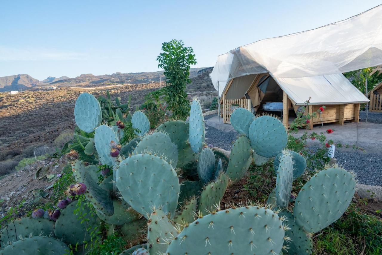 Finca Gaia La Segunda Guia de Isora  Ngoại thất bức ảnh