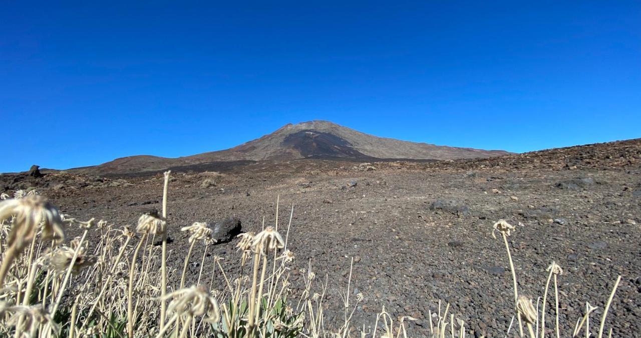 Finca Gaia La Segunda Guia de Isora  Ngoại thất bức ảnh