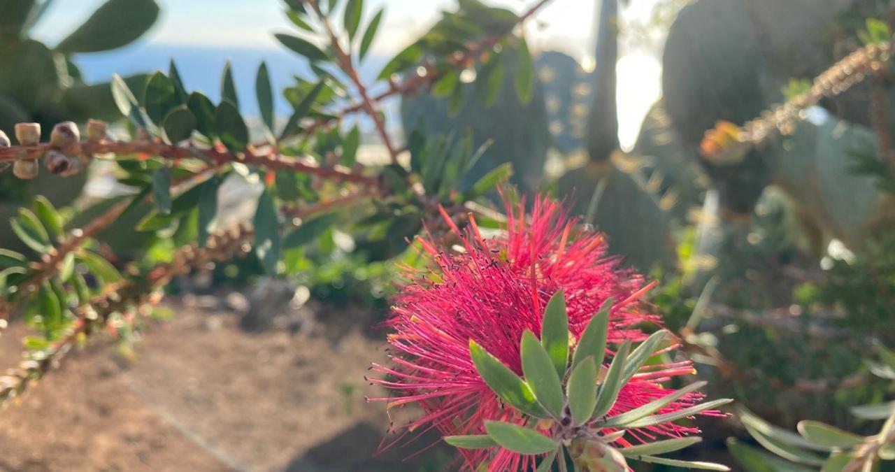 Finca Gaia La Segunda Guia de Isora  Ngoại thất bức ảnh