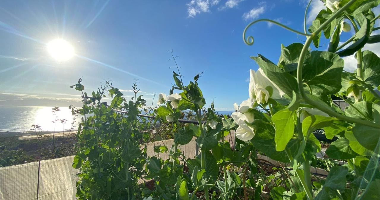 Finca Gaia La Segunda Guia de Isora  Ngoại thất bức ảnh