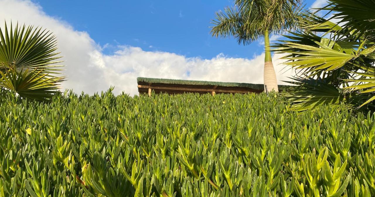 Finca Gaia La Segunda Guia de Isora  Ngoại thất bức ảnh