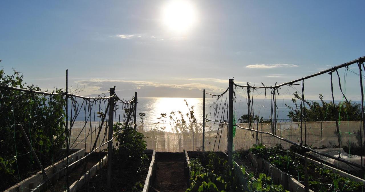 Finca Gaia La Segunda Guia de Isora  Ngoại thất bức ảnh